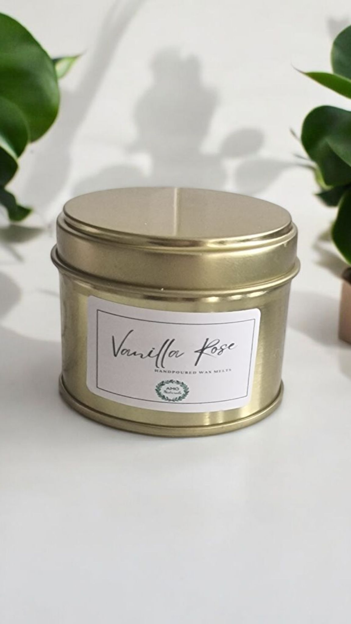 Vanilla Rose