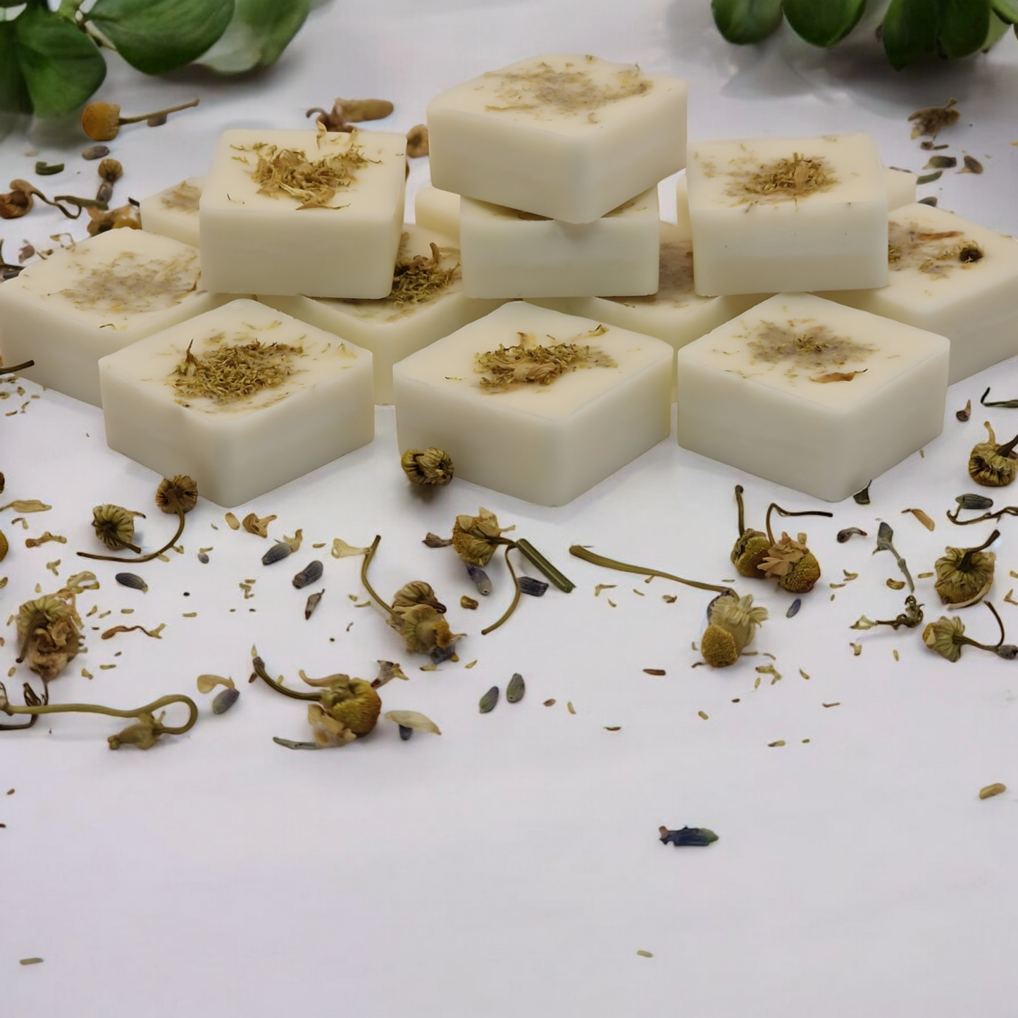 Botanical Chamomile and Lavender Wax Melts